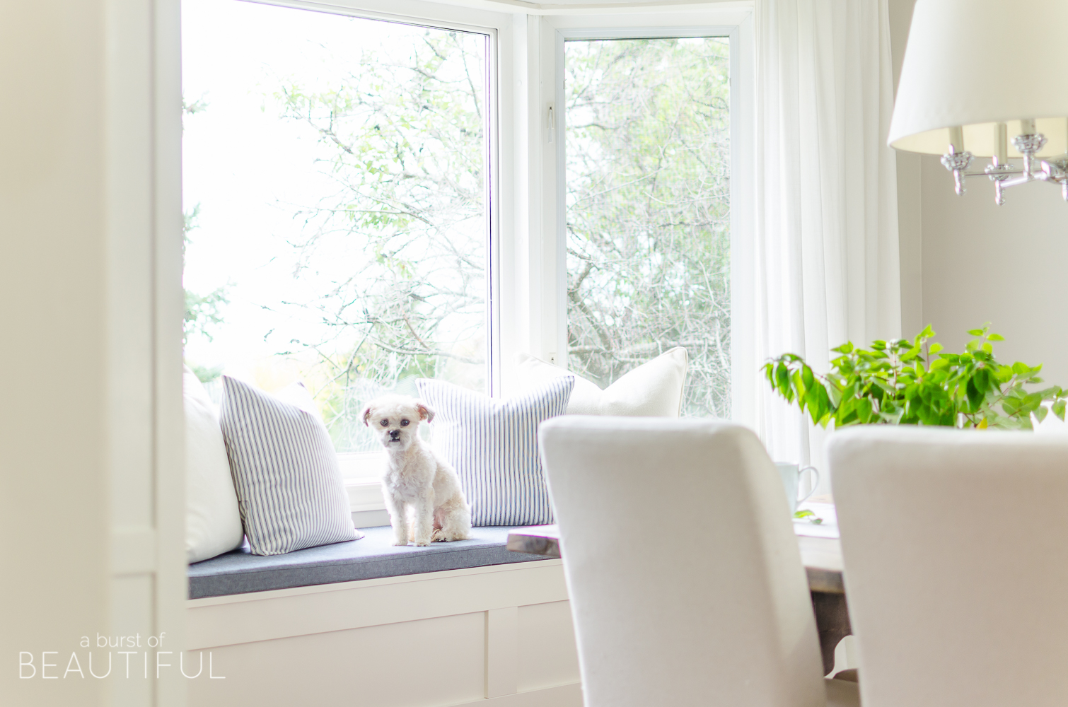 A DIY farmhouse dining table and window bench take center stage in this modern farmhouse dining room.