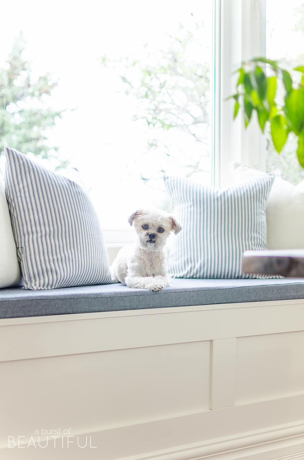 A DIY farmhouse dining table and window bench take center stage in this modern farmhouse dining room.