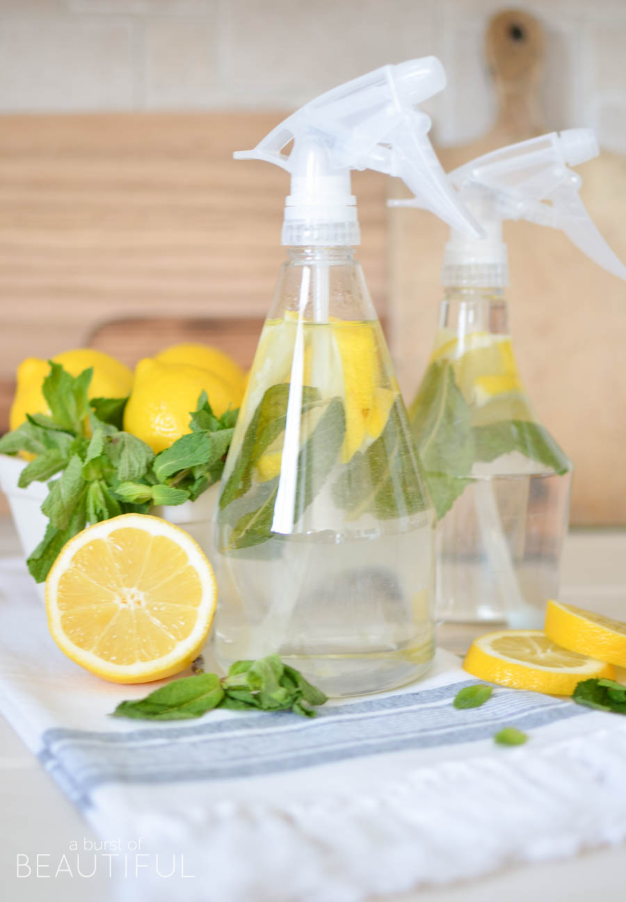 Natural Homemade All Purpose Cleaner