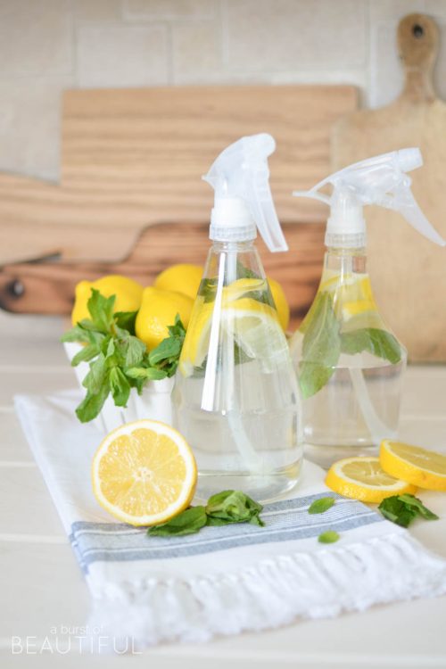 Natural Homemade All Purpose Cleaner
