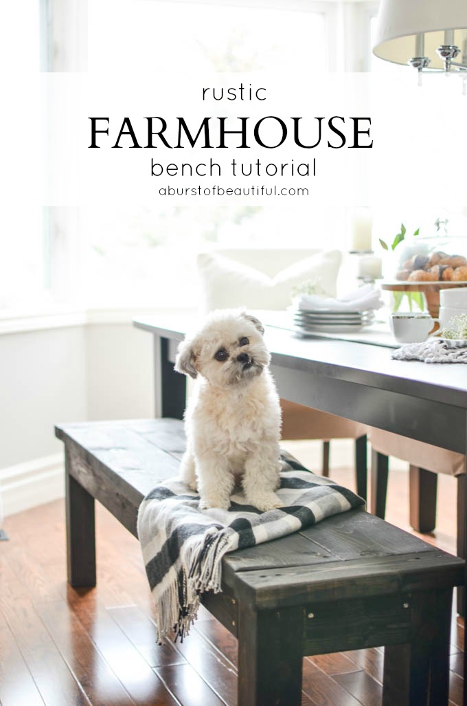 Learn how to build a rustic DIY farmhouse bench with this simple plan | A Burst of Beautiful