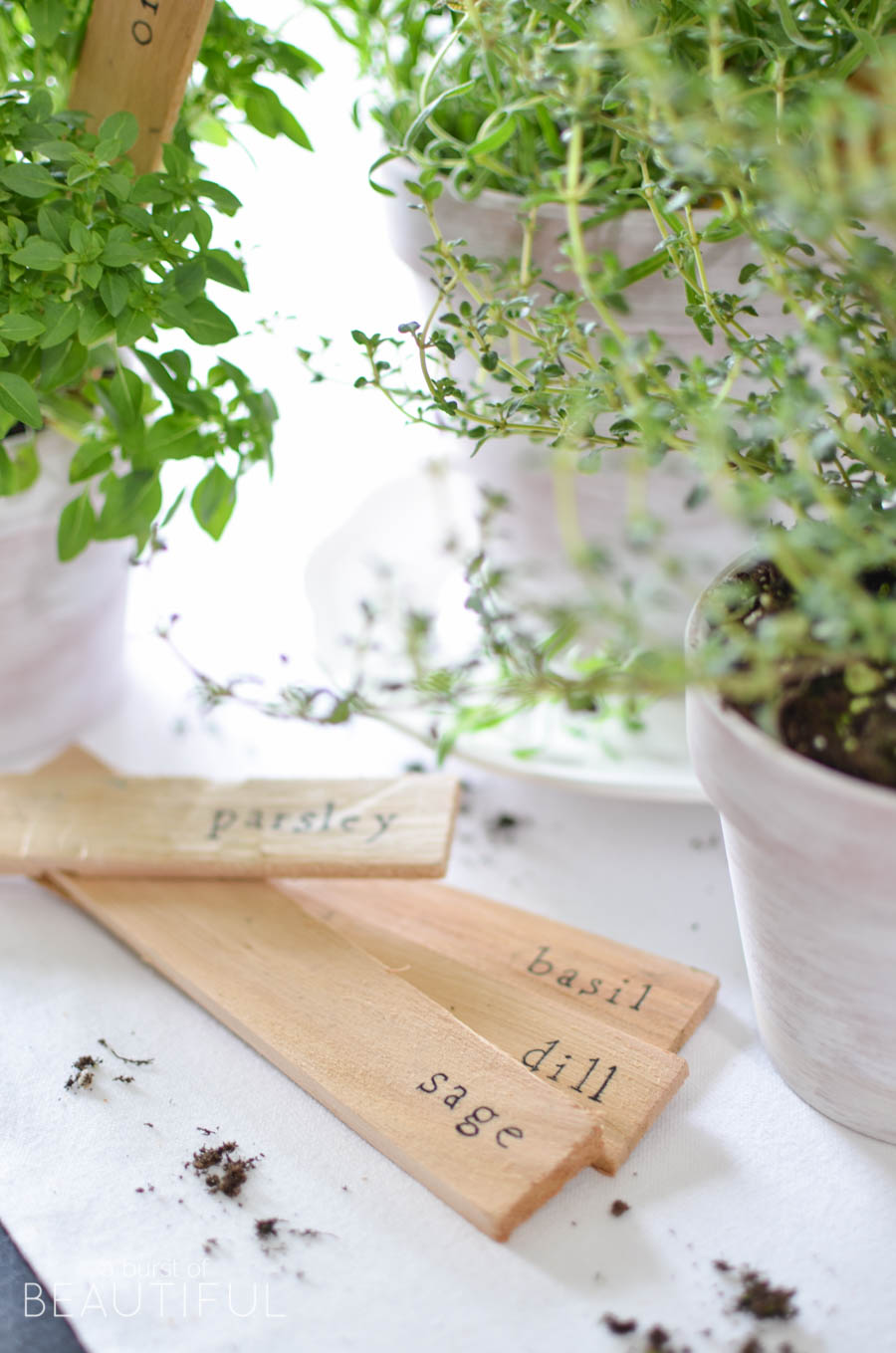 Simple DIY herb markers add a little extra charm to potted fresh herbs | A Burst of Beautiful 