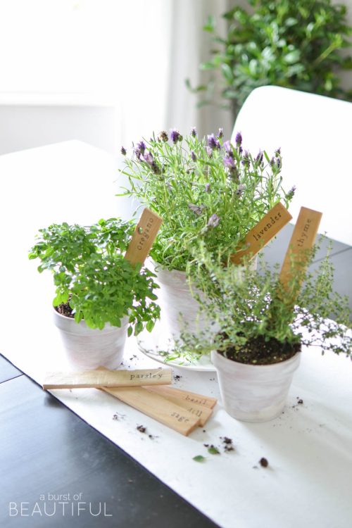 Simple DIY herb markers add a little extra charm to potted fresh herbs | A Burst of Beautiful
