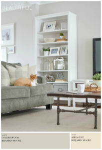 Collingwood by Benjamin Moore is a classic and versatile color for any space. A Burst of Beautiful shares the perfect Modern Farmhouse Neutral Paint Colors for a cozy and inviting home | A Burst of Beautiful