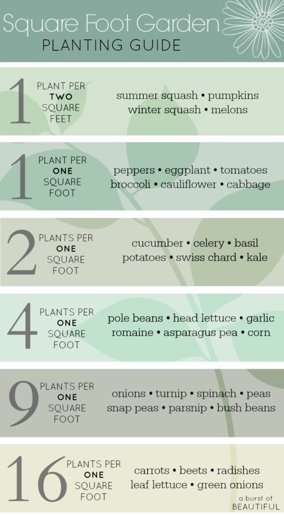 Planning Our First Vegetable Garden