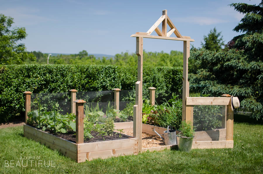 Gardening becomes fun for the whole family with a raised square foot vegetable garden | A Burst of Beautiful