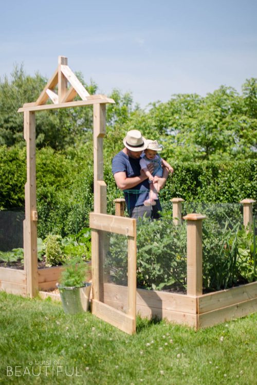 Raised Square Foot Vegetable Garden – Update