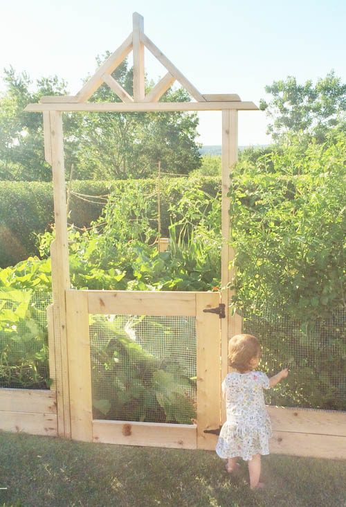 Square Foot Gardening Tips – What we’ve learned after the first season