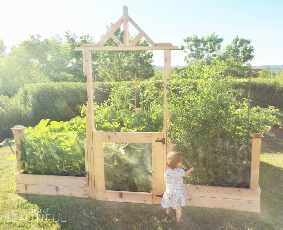 Square Foot Gardening Tips - What we've learned after the first season - Nick + Alicia