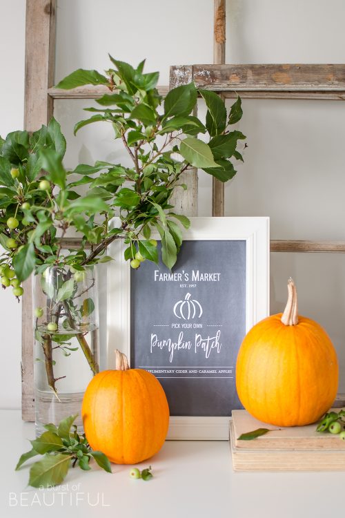 This rustic fall chalkboard printable will inspire thoughts of pumpkins, apple cider and hayrides. Download it for free at www.aburstofbeautiful.com