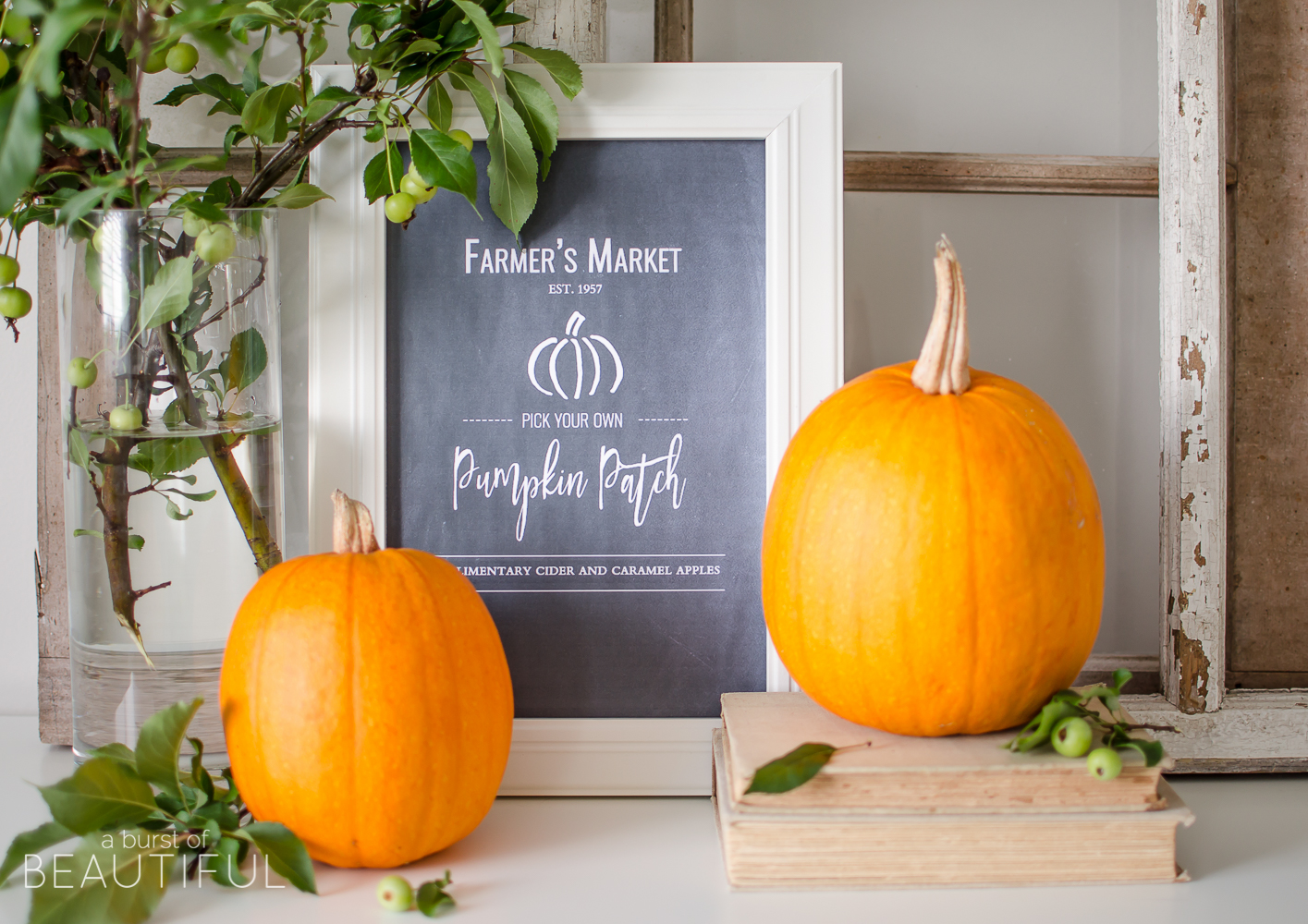 This rustic fall chalkboard printable will inspire thoughts of pumpkins, apple cider and hayrides. Download it for free at www.aburstofbeautiful.com