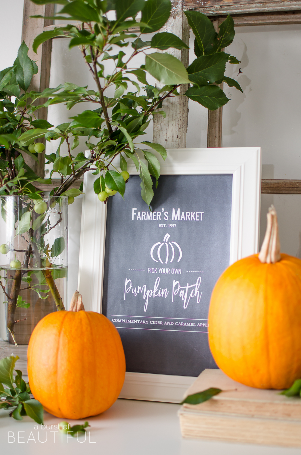 This rustic fall chalkboard printable will inspire thoughts of pumpkins, apple cider and hayrides. Download it for free at www.aburstofbeautiful.com