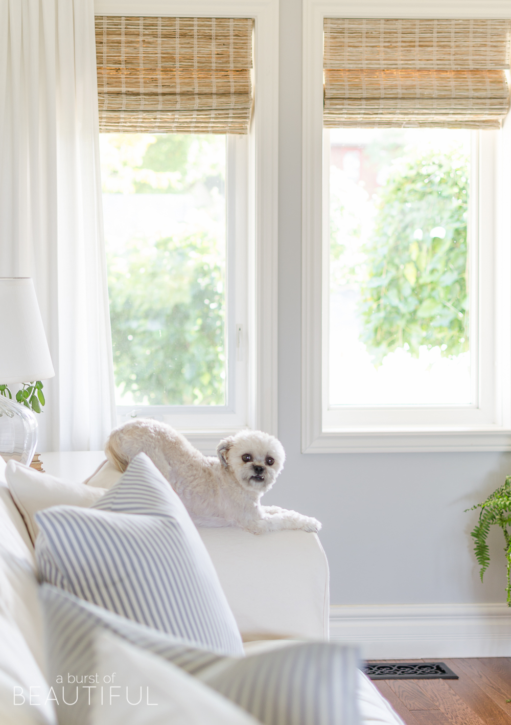 Woven wood shades add color, texture and warmth to this modern farmhouse living room. 