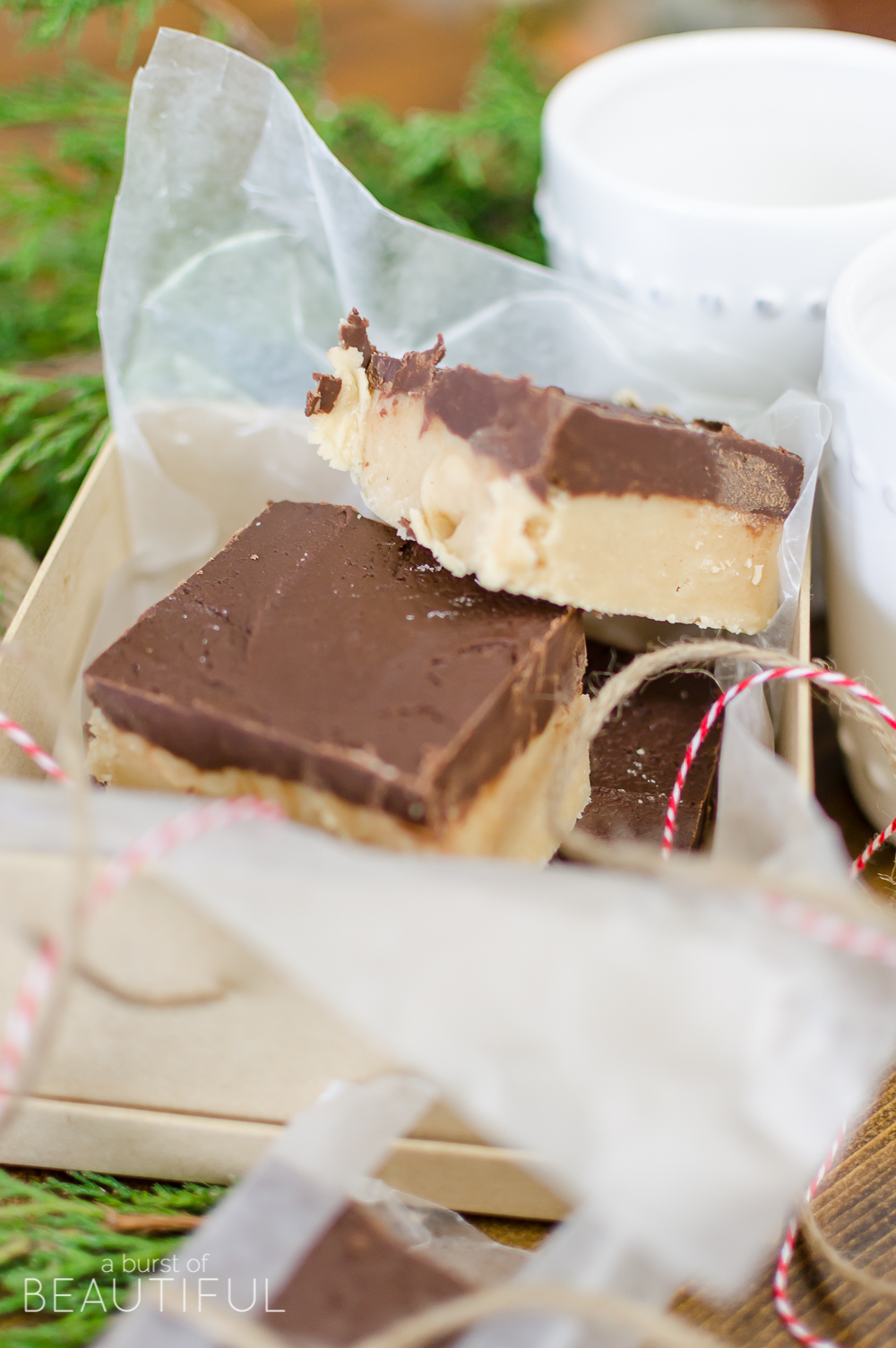This rich and creamy Chocolate Peanut Butter Fudge will melt in your mouth. Wrap it up as a thoughtful and sweet holiday gift this year. 