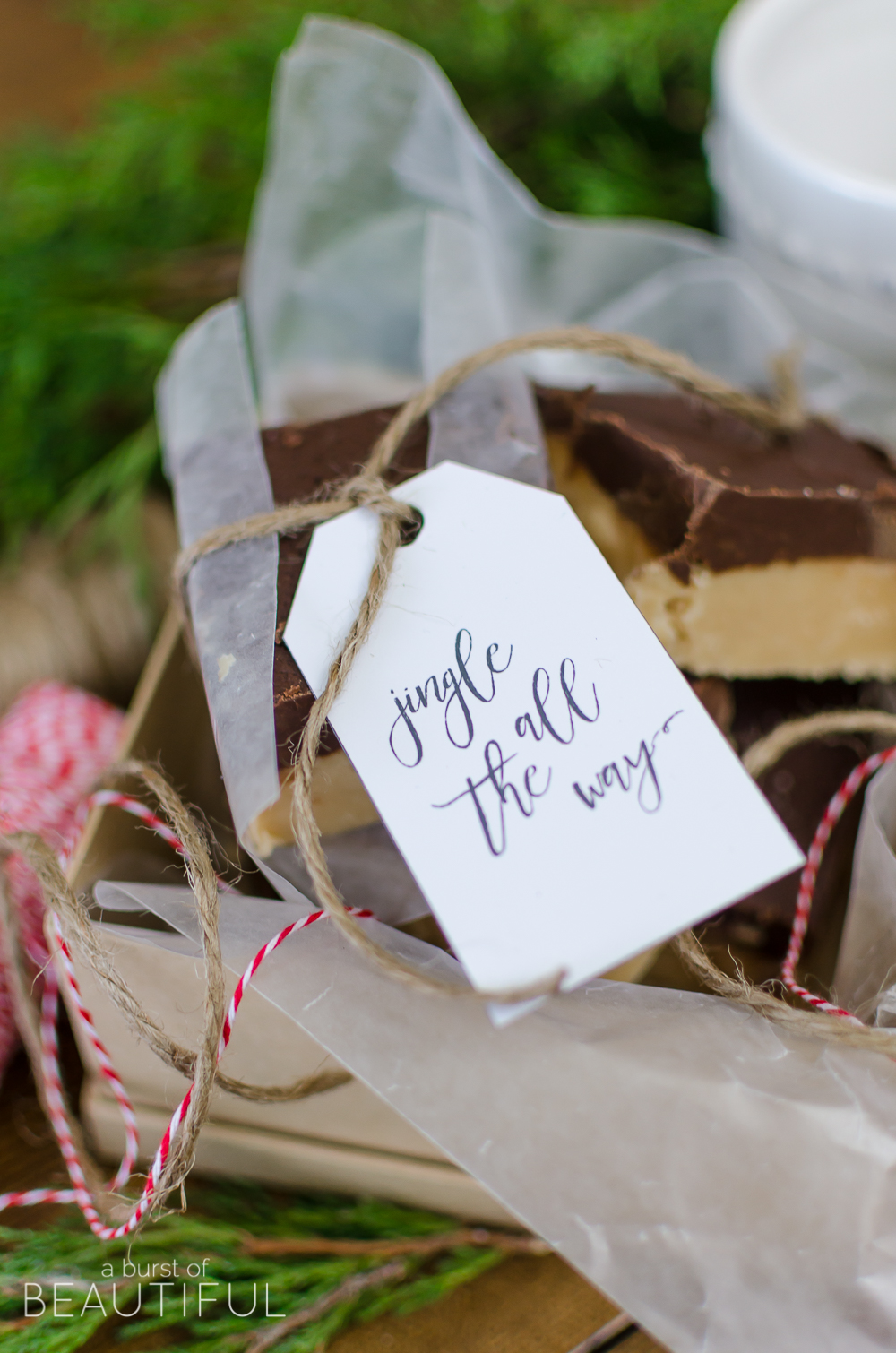 This rich and creamy Chocolate Peanut Butter Fudge will melt in your mouth. Wrap it up as a thoughtful and sweet holiday gift this year. 