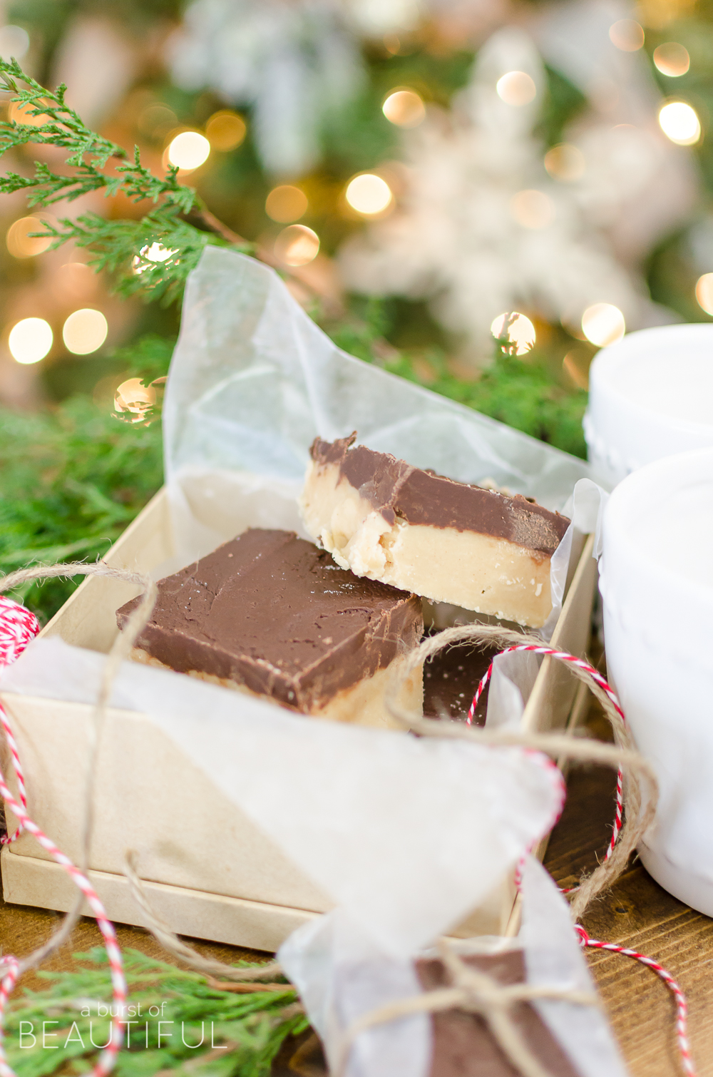 This rich and creamy Chocolate Peanut Butter Fudge will melt in your mouth. Wrap it up as a thoughtful and sweet holiday gift this year. 