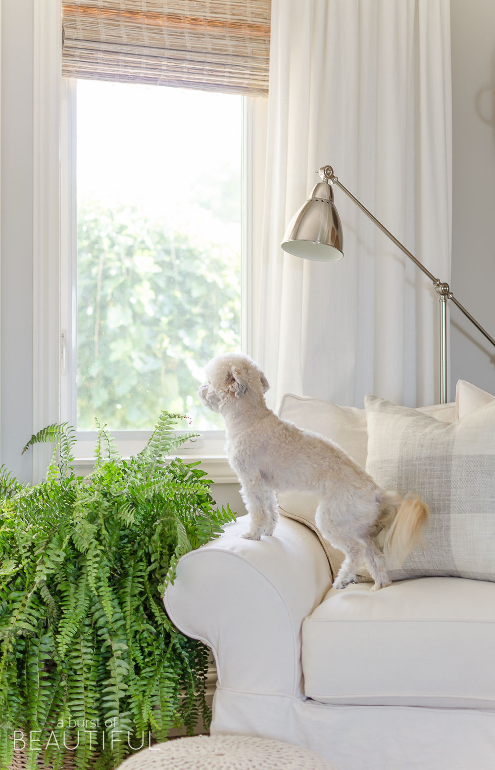 Woven wood shades add texture, color and warmth to this modern farmhouse