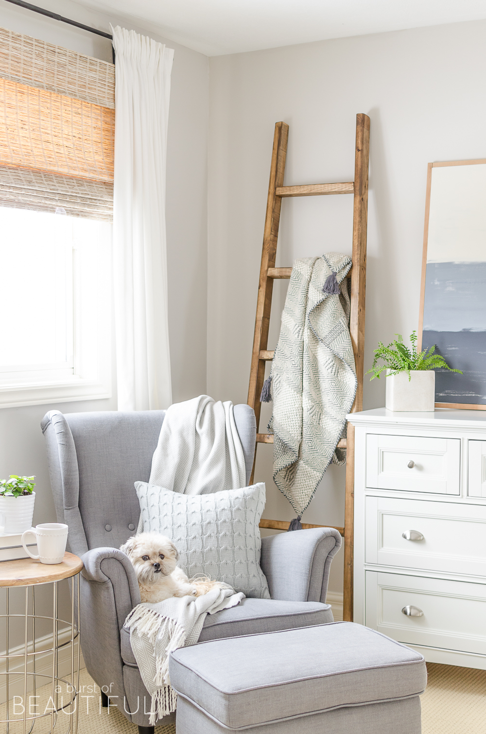 Cute shop blanket ladder