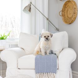 Subtle shades of blue add warmth and interest to a neutral color palette | Blue is My Favorite Neutral