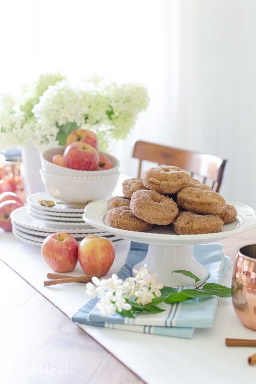 Harvest Apple Spice Donut Recipe