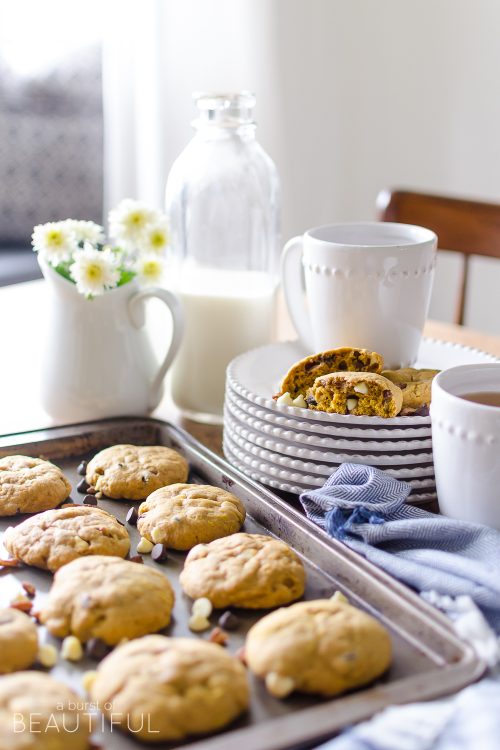Pumpkin Pecan Chocolate Chip Cookies