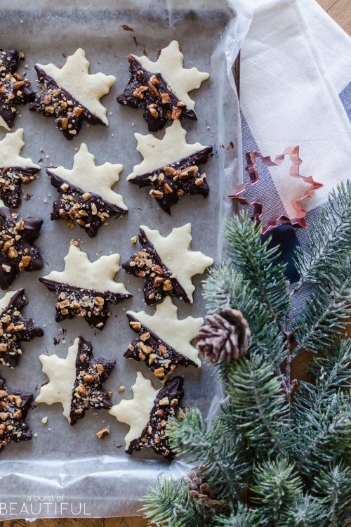 Pecan Chocolate Dipped Shortbread Cookies