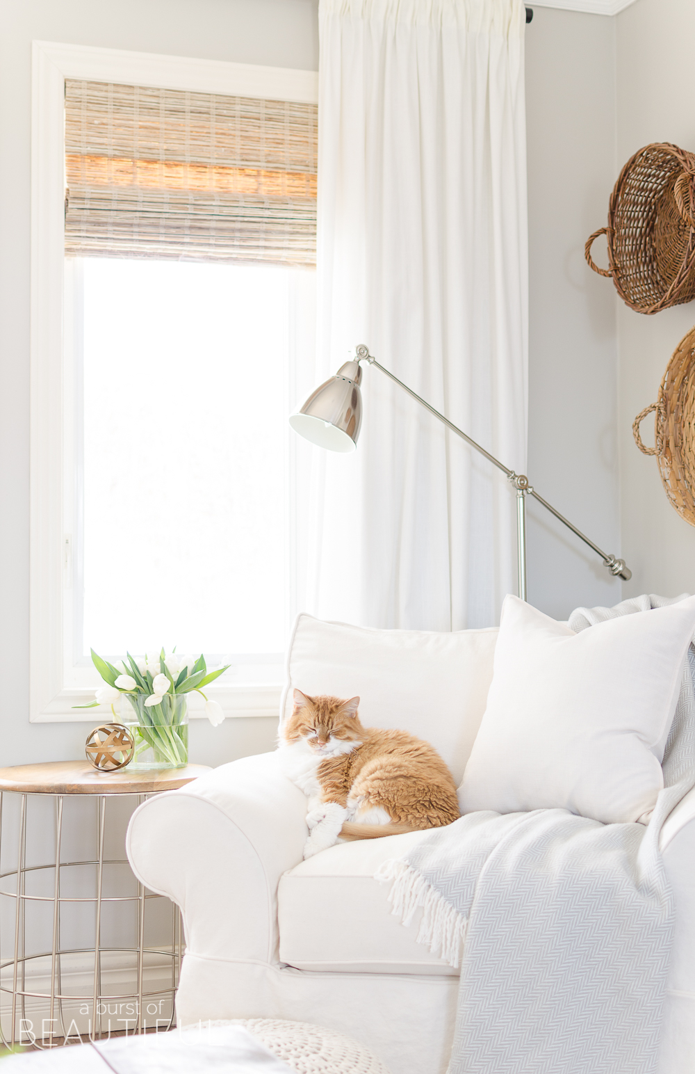 Looking Forward | Sharing our Plans and Hopes for 2018