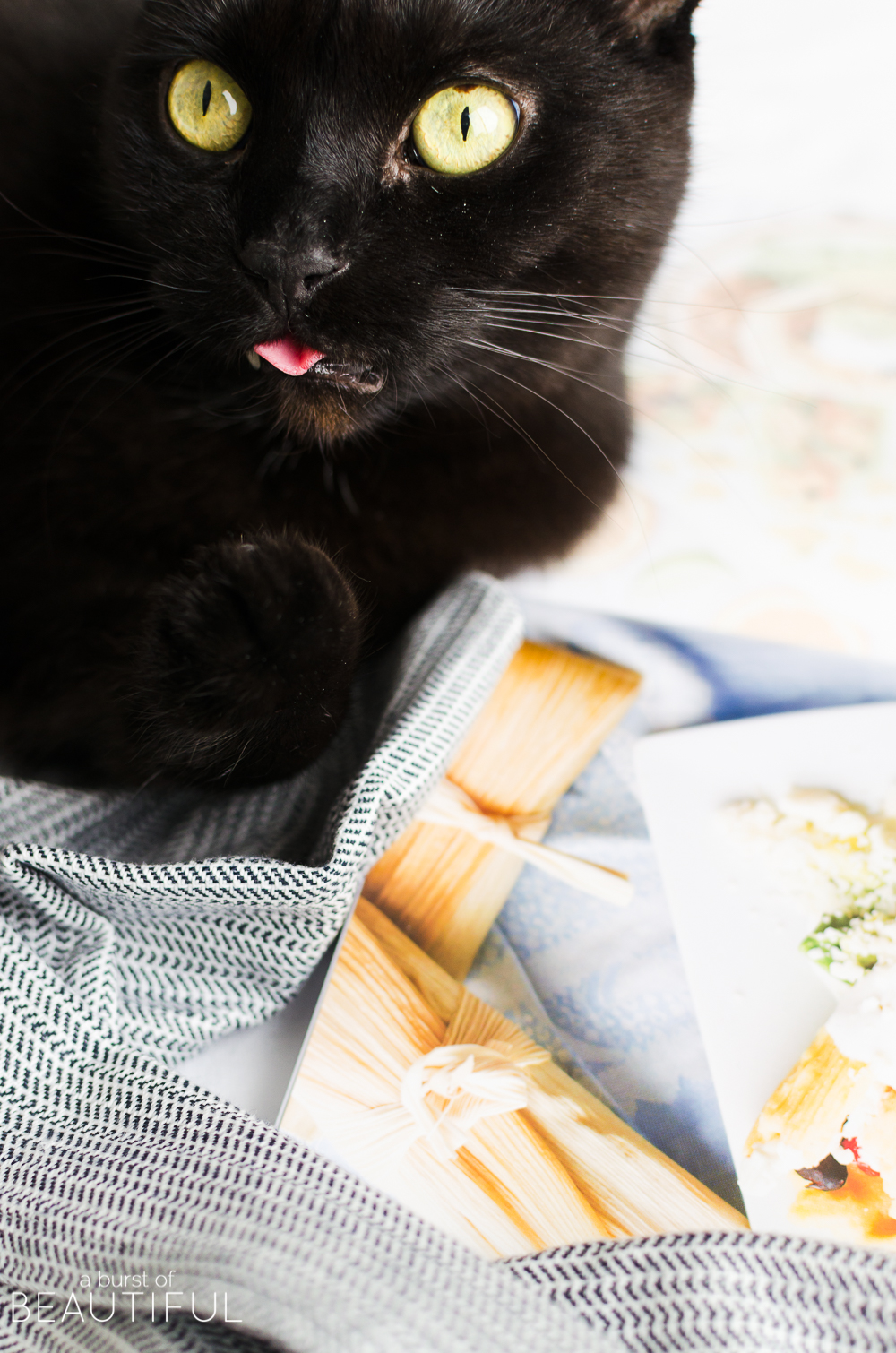 Make quick and simple family dinners with recipes from Master the Electric Pressure Cooker cookbook