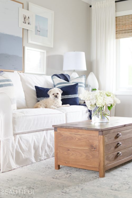 Simple and Easy Summer Cleaning Tips