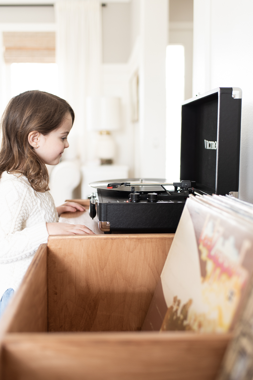 Record Cabinet Free Plans Nick Alicia