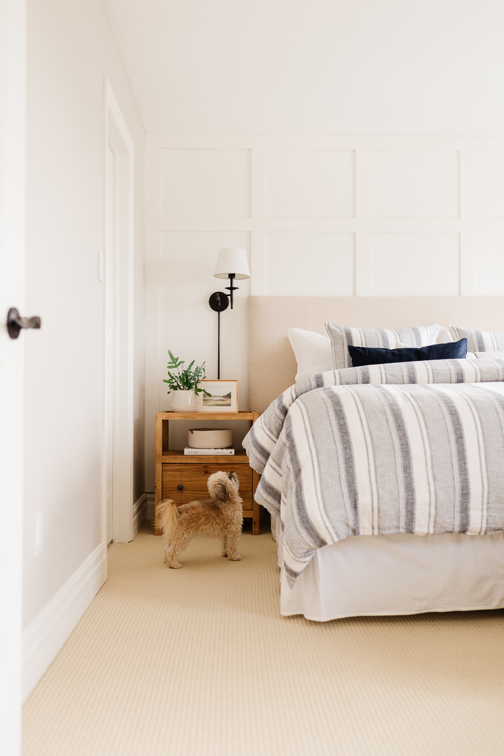 Puppy in front of modern nightstands. Free DIY building plans.