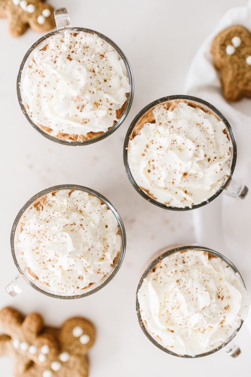 Gingerbread Hot Chocolate with Whipped Cream