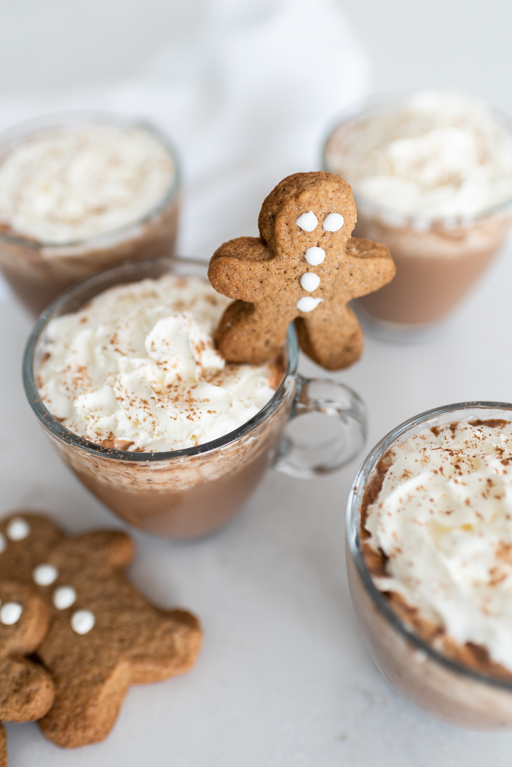 Gingerbread Hot Chocolate with Whipped Cream