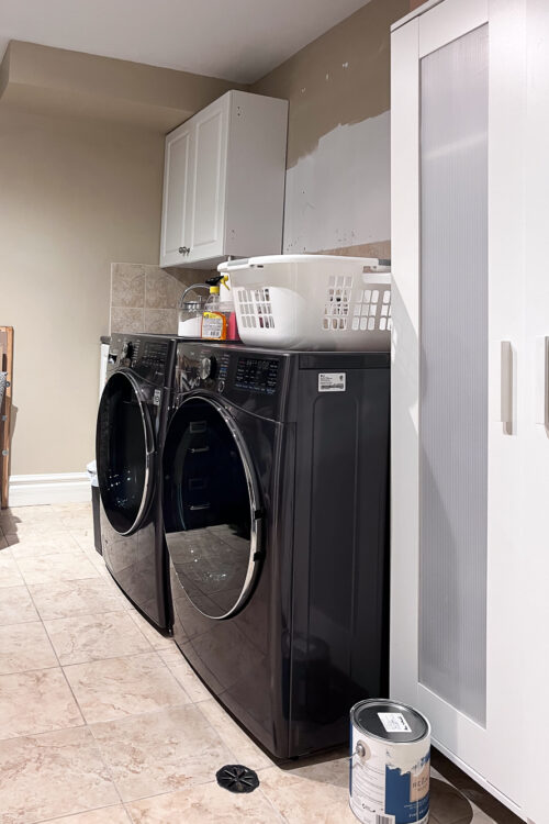 A Sneak Peek at Our 2024 Projects and Plans